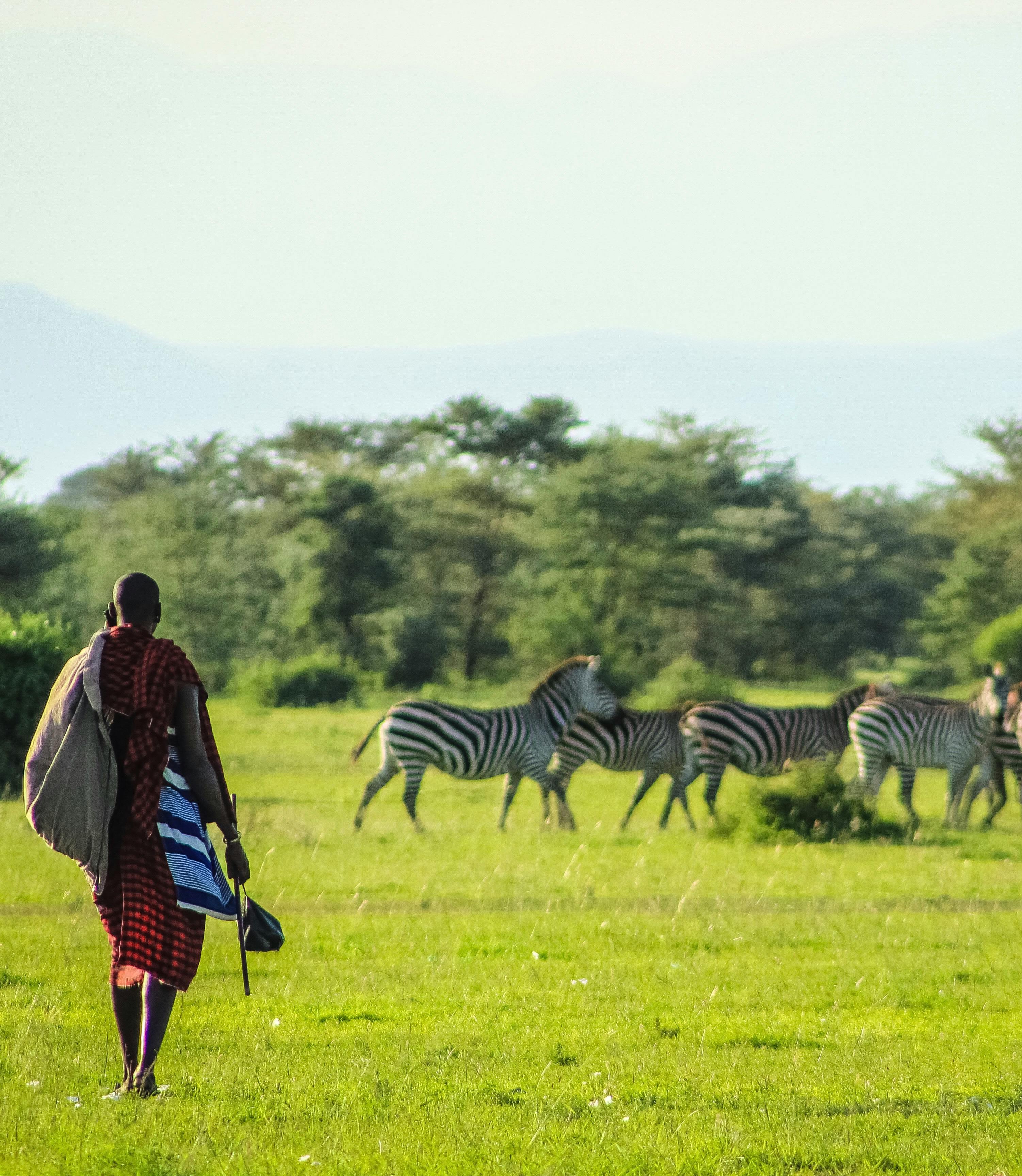 Cultural Safari
